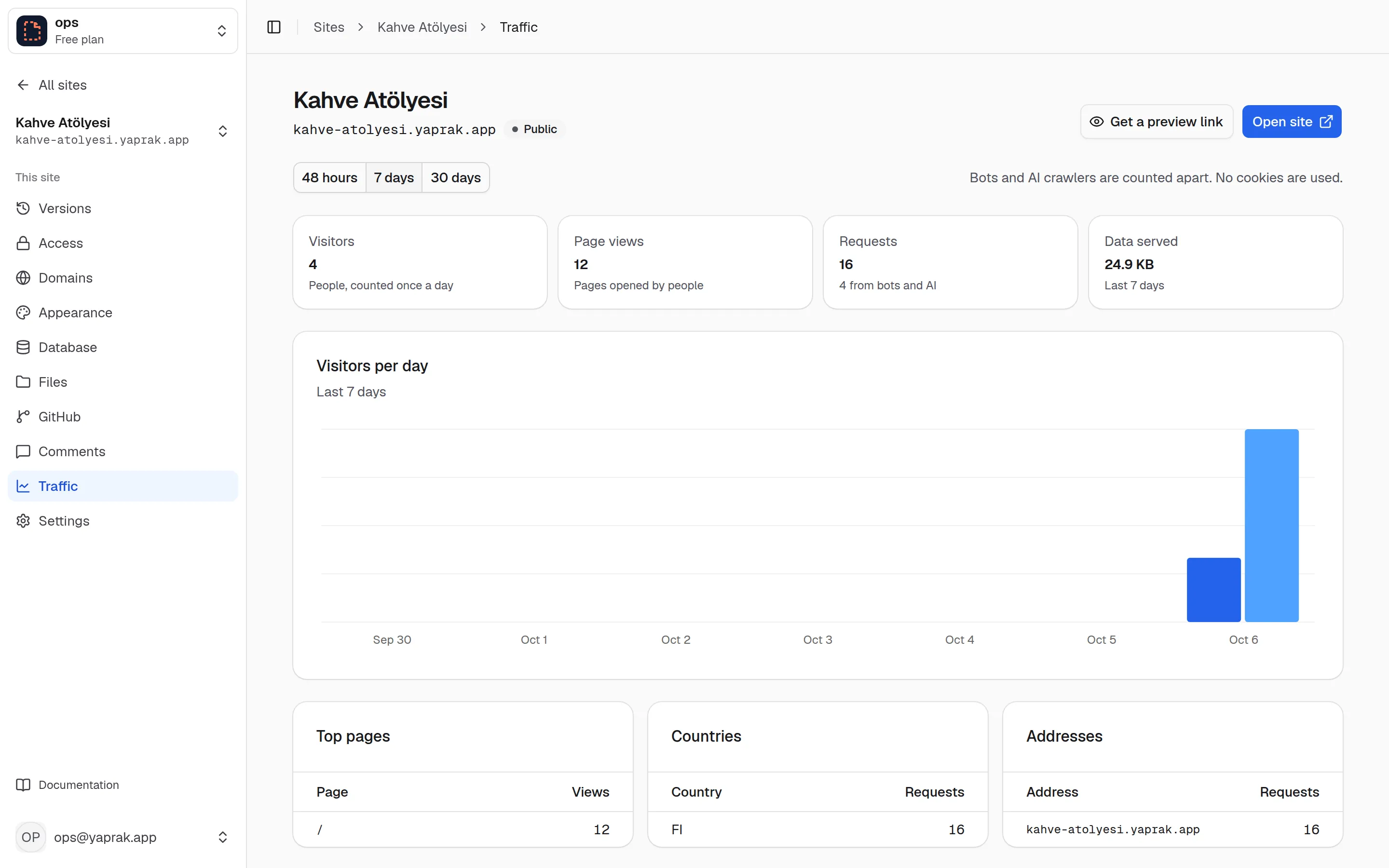 Traffic in the Taslak panel: visitors, page views and a daily chart